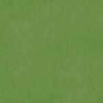 Kiwi Green